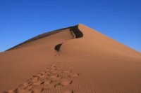 ������� �����