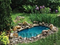 ������� ������ �� ������ �������