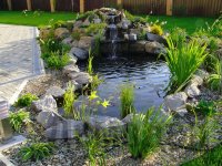 ������� ������ �� ������ �������