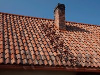 ����������� ��������������� - �������������� � ����������� ����������