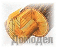 ������������� 