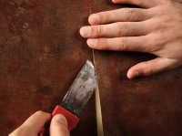 ������ ���� ������ ������ ��� ���