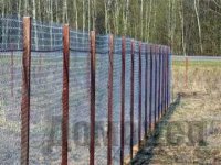 ����� ������ ��� ����