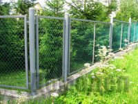 ����� ������ ��� ����