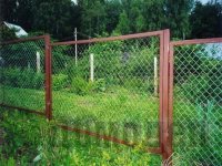 ����� ������ ��� ����