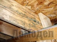 ����������� ��� ������