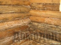 ����������� ��� ������