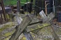 �������� ����� �� ������