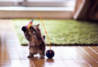 ���������� �� ����� �� ���������� ������