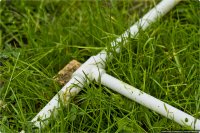 ��� ������� ���������� �� �������������