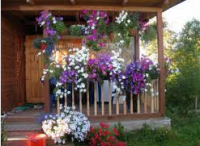 ��������� ���