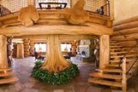 ���� ����� �� ������