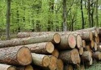 � ��� ������������ ���������� ������������� ���������