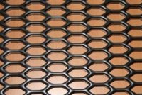 ������������� ������������ �����