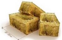 ������������� ���� �� ���������� ������ �� ���-����������