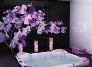 ����������