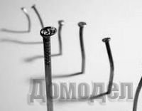 ���� �������