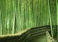 ��� ������������ ����� ���������� ����