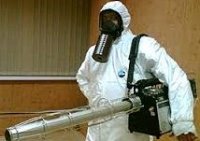 ������ �� ��������