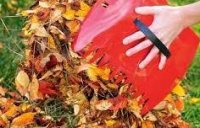 ������ �� ��������