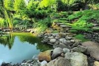 Красивый пруд у вас на даче Красивый пруд у вас на даче