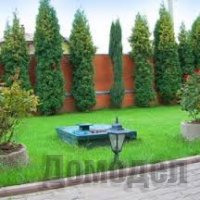 ��� ����������� � ���������� ����? ���������� ������