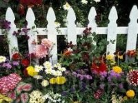 ���� ���������� ��� ����