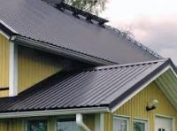 ���� �����������