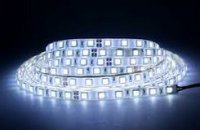 ������������ �����������