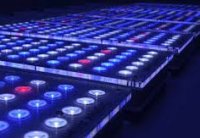 ������������ �����������