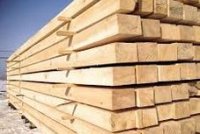 ���� ��������������