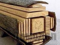 ���� ��������������