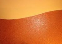 �������� ���� �������