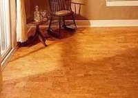 ������������ ���������� ���� � ������������ ����� ���������