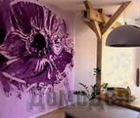 ���� ����� ��� ��������: ������������ � ����������