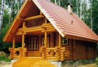 ������������ �������� ����