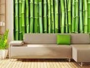 ������������� ����