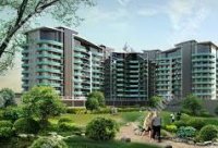 ��� ������� ����� ��������