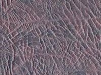 ��������� � ������ ������ �����������