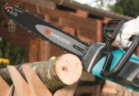 ���� ������������� ���