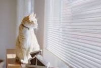 ������ � ����