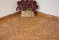 �������� �� ������