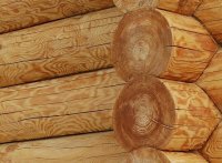 ���������� �������� ���������� �� �����������