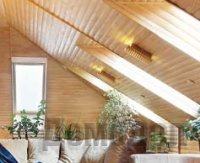 ���� �� �������� �����: ��� ����� � ������