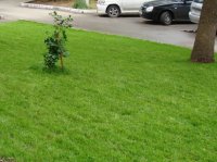 ������� � �������