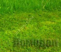 ������� � �������