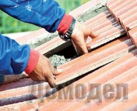 ������ ������ ������ ������