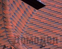 ������������ ������ ��������