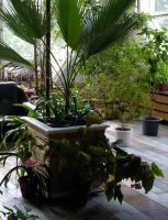 ��� �������� ������� ��� � ���� ����?