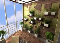 ��� �������� ������� ��� � ���� ����?